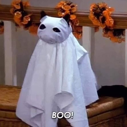 May_PerezC's profile picture. -Abogada⚖️