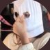 سحلوف (@jiinkli) Twitter profile photo سحلوف (@jiinkli) Twitter profile photo