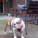 robin hinton - @RobinReatrey - Twitter