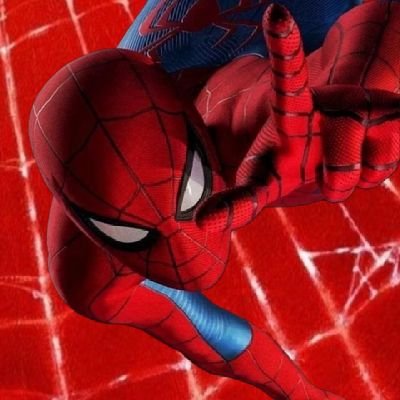 mcuspideydaily Profile Picture
