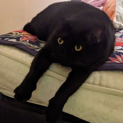 gigabites19's profile picture. 