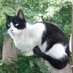 Sawyer Thomas (@sawyertomcat) Twitter profile photo Sawyer Thomas (@sawyertomcat) Twitter profile photo