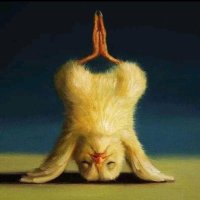 Yoman (@streamer97) 's Twitter Profile