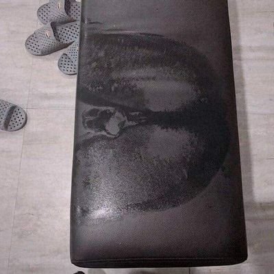 sam125229's profile picture. Plu