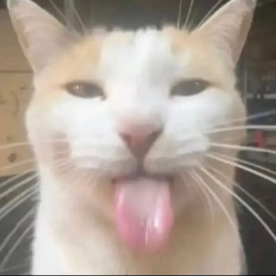 paranoiaa0's profile picture. proud neglectful cat mom 😽 | female manipulator | kleptomaniac