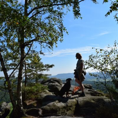 fransandra_k's profile picture. Hi.
🐈/🎮/⚽/📷/🍃/👩‍🎓