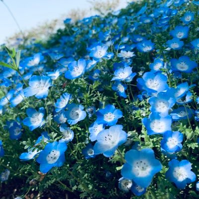 ユキさんのプロフィール画像