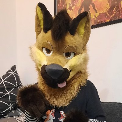 kioshi36ADplus's profile picture. Nsfw fursuit stuff :3 i will mainly post
fursuit pics with no full nudity and I'm in closed relationships so I'm rarely looking for irl stuff