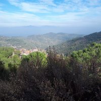 bulut (@bulut7975) Twitter profile photo