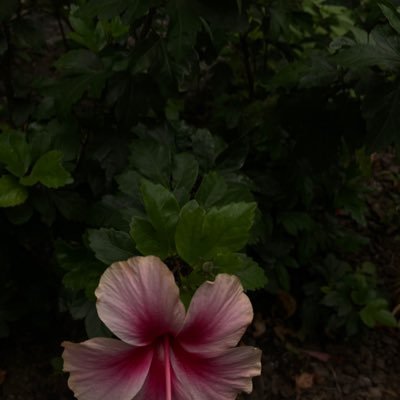 2123jan's profile picture. 