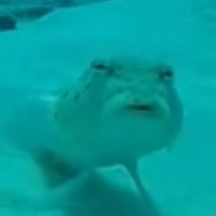 a_simii's profile picture. 🌱