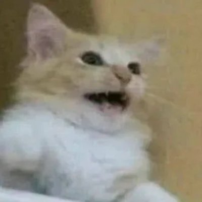 6vAaoy's profile picture.