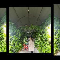 H (@hilallvs) 's Twitter Profile