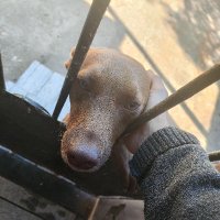 Heid carlos (@hdolveira) 's Twitter Profile