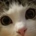 Hi there. (@mister_hooper) Twitter profile photo Hi there. (@mister_hooper) Twitter profile photo