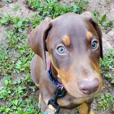 exitliquidity66's profile picture. just looking around