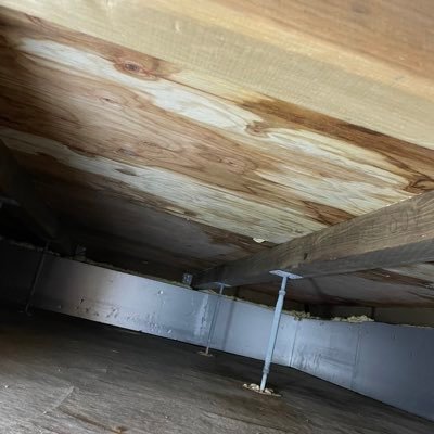 nomasuku420's profile picture. 