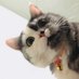 น้ำตาล0109 🔆🪞🍒 (@tal0109) Twitter profile photo น้ำตาล0109 🔆🪞🍒 (@tal0109) Twitter profile photo