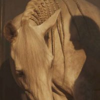 zainab💚🍃 (@zoba777) 's Twitter Profile Photo zainab💚🍃 (@zoba777) 's Twitter Profile Photo