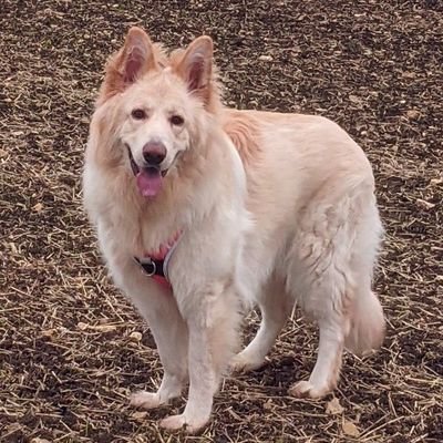 Lindsaylovesxxx's profile picture. 