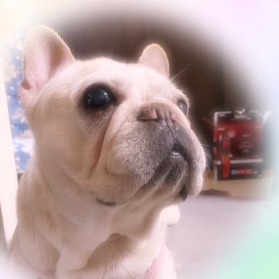 i6agKapv8BLs6dF's profile picture. 世界がひっくり返る日を首を長ーくして待ち侘びています。