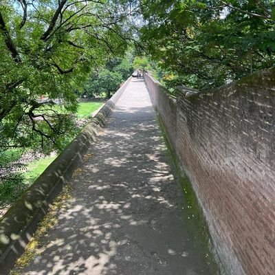murthyadavi's profile picture. Critic