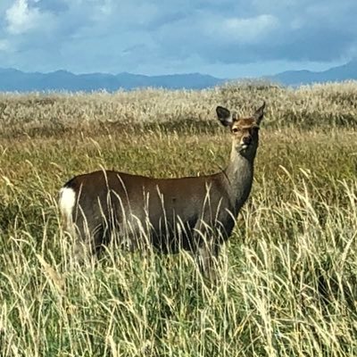 ouna488356's profile picture. 