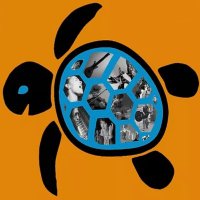 Jazz Turtle (@jazzturtle1) 's Twitter Profile