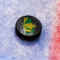 Prairie Junior Hockey League(@pjhl_sask) 's Twitter Profileg