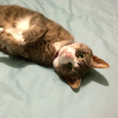 j0charlt0n's profile picture. 