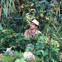 Patrick Hayes (@hayesperiegetes) 's Twitter Profile