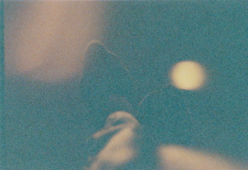 morton_cox's profile picture. 