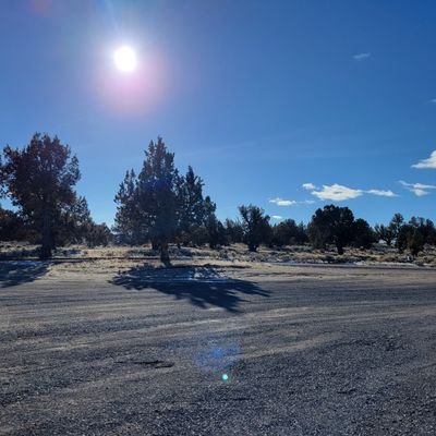 wewhowhatwhen's profile picture. 🇺🇲🗽