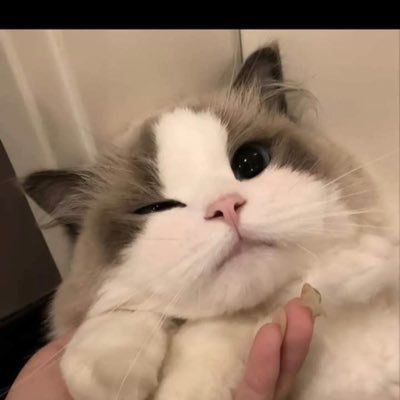 shaari_salleh's profile picture. 