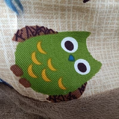 いおよ傀儡さんのプロフィール画像