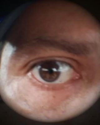 gabosir9's profile picture. Barcelona SC,
Rock music, horror movies