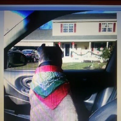 ALB354926341675's profile picture. 