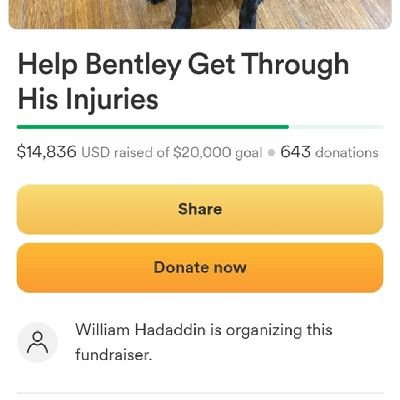 Please, help Bentley get through his injuries.
https://t.co/FOhxrm5HzP