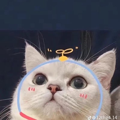 HGGTR_4465's profile picture.