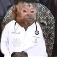 dr hiro sagui (@pururucahiro) 's Twitter Profile