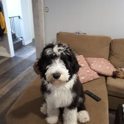 Kt7506389158859's profile picture. 