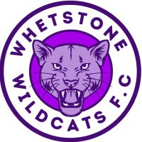 Whetstone Wildcats FC(@N20_Wildcats_FC) 's Twitter Profile Photo