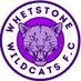 Whetstone Wildcats FC (@N20_Wildcats_FC) Twitter profile photo
