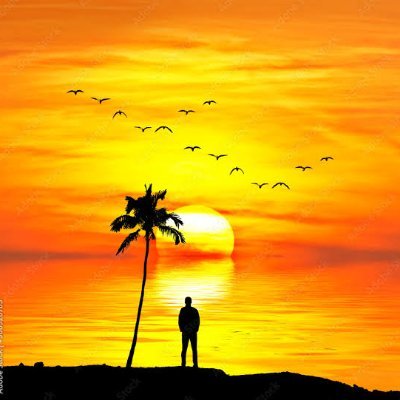 BhardwajNkl's profile picture. 