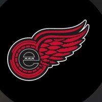 Eastern Red Wings - 2024 Provincial Champs!! (@u13aaaredwings) 's Twitter Profile
