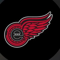 Eastern Red Wings - 2024 Provincial Champs!!(@U13AAAREDWINGS) 's Twitter Profile Photo