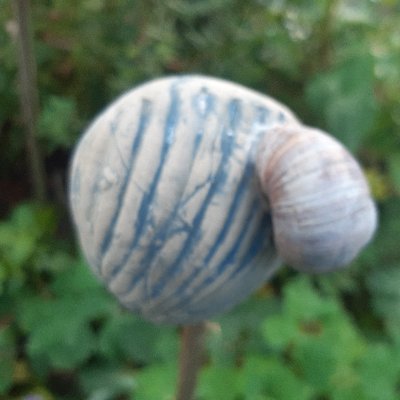 Muschkal1's profile picture. Schweigsam schauend.