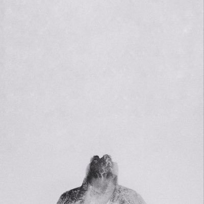 _t_fcy's profile picture. 