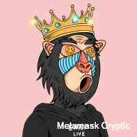 ✨ artist | degen collector ✨ topshot | punks | yuga | abhs | spacebudz | clay ✨ entered crypto ✨ $ada $eth $btc