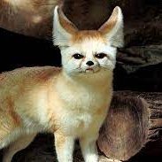 medme0660's profile picture. #SCC